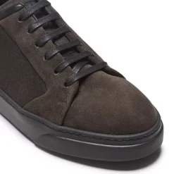 Fratelli Rossetti Charcoal grey suede sneaker|^ Sneakers